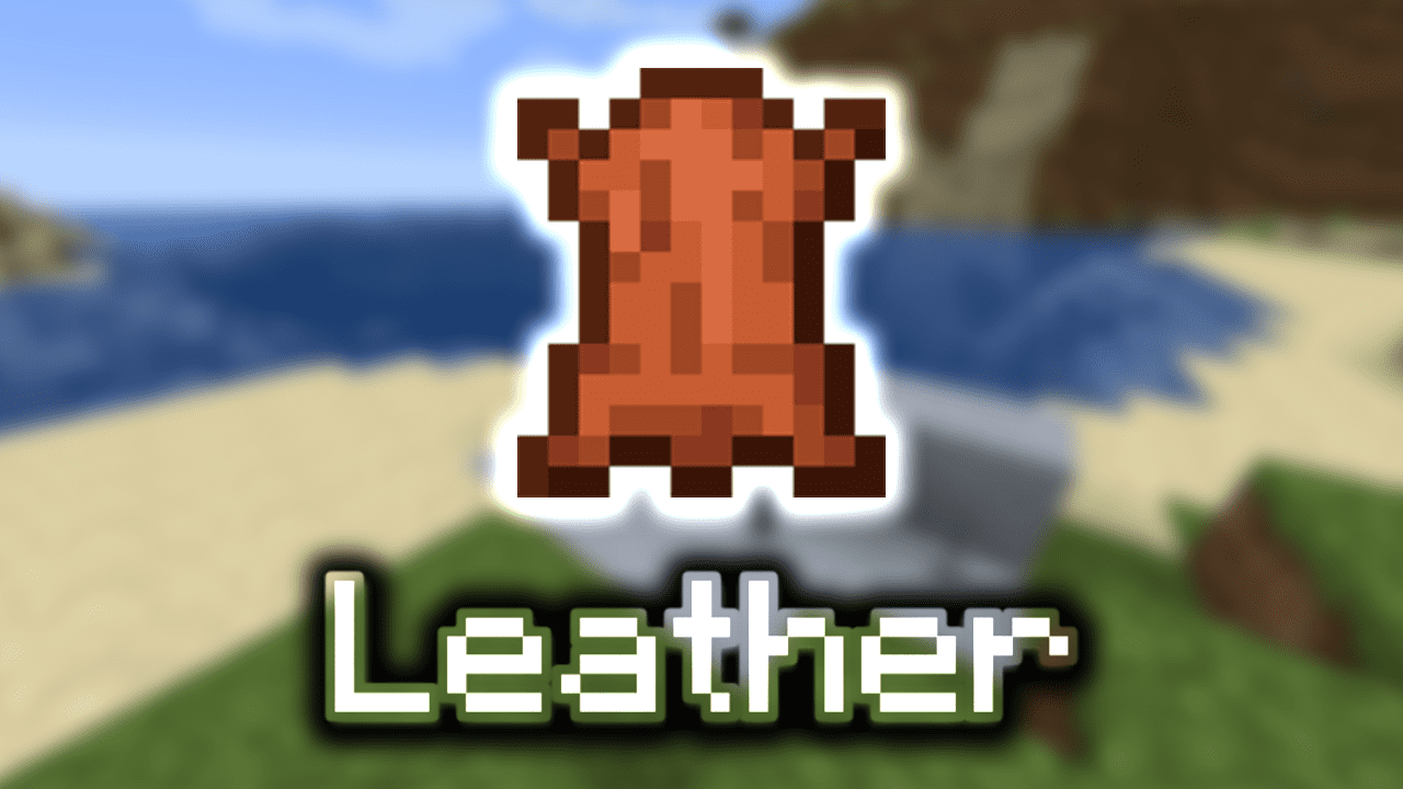 Leather Wiki Guide