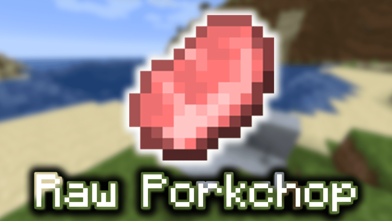 raw-porkchop-minecraft