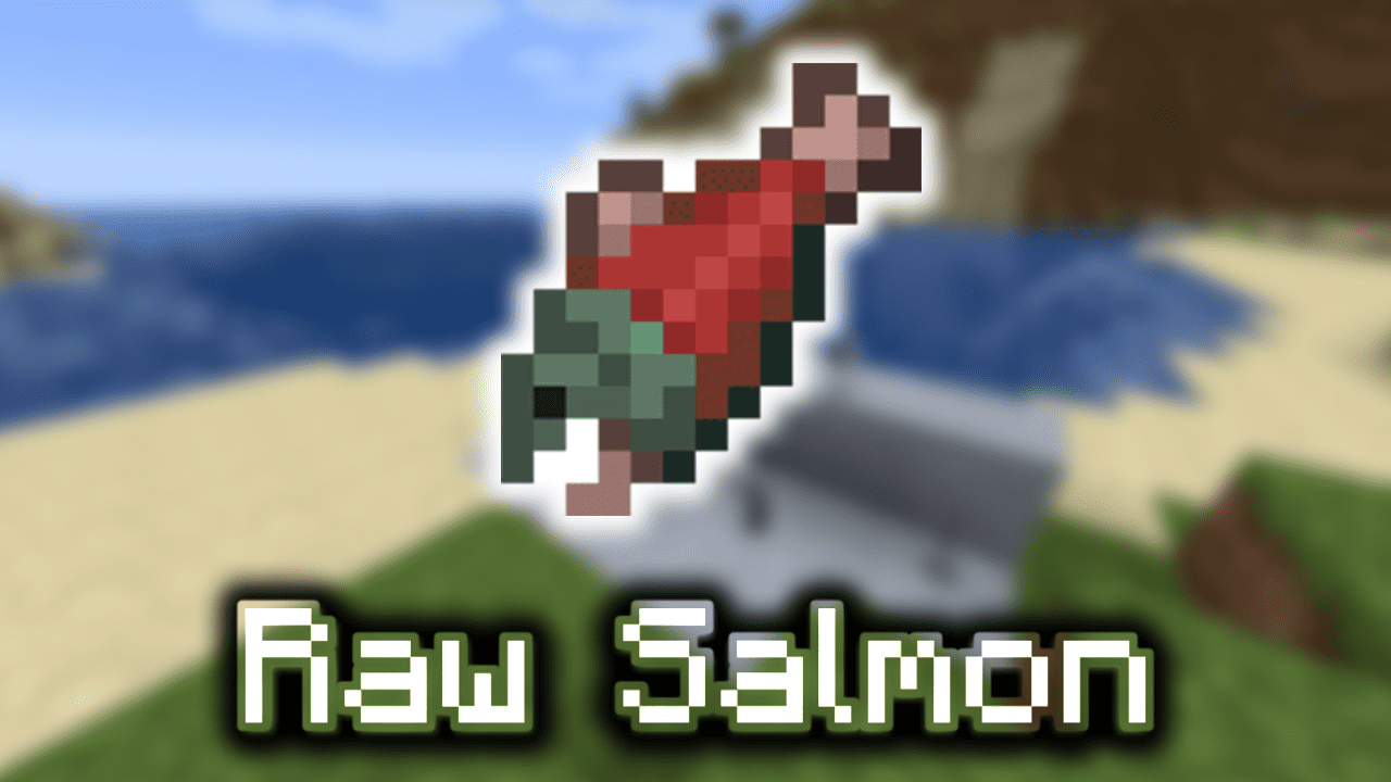 Minecraft Salmon