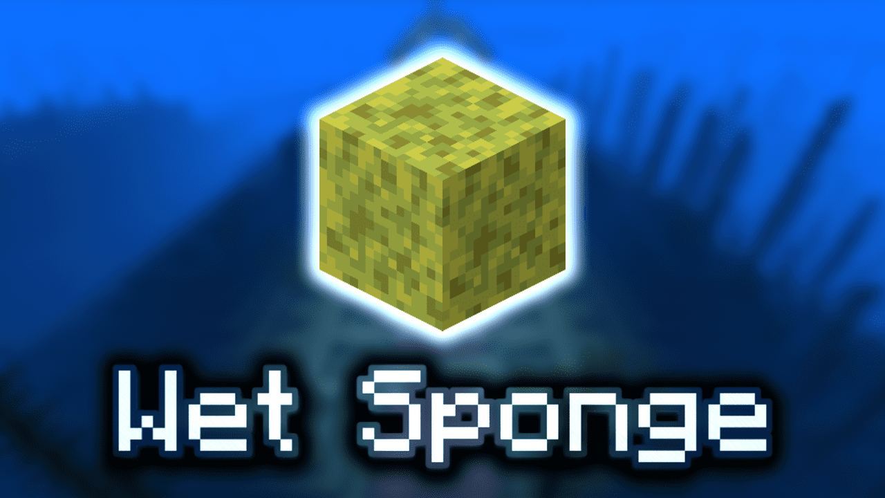 Wet Sponge Wiki Guide