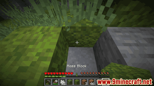 Moss Block – Minecraft Wiki