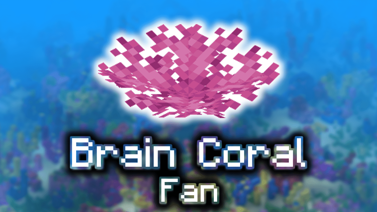 Brain Coral Fan Wiki Guide