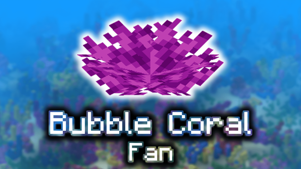Bubble Coral Fan Wiki Guide