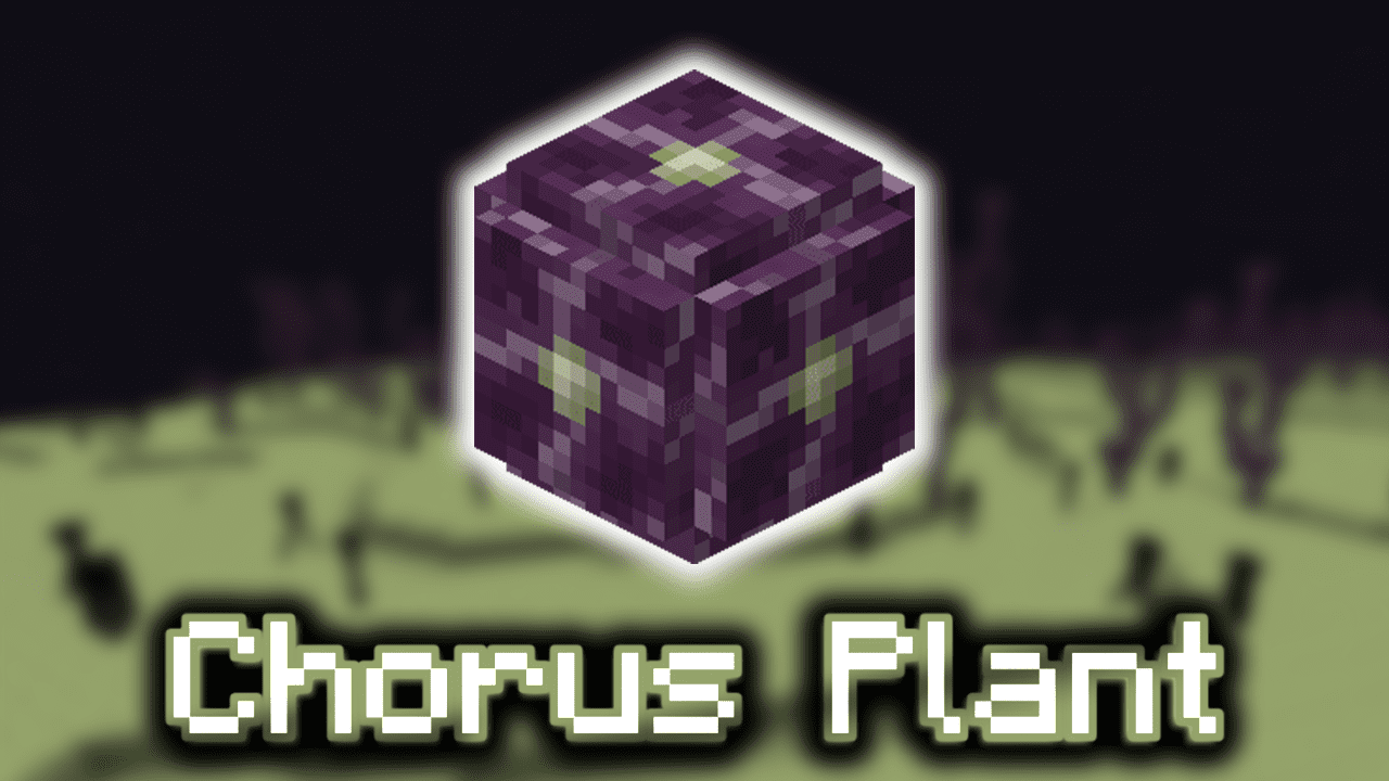 Chorus Plant Wiki Guide