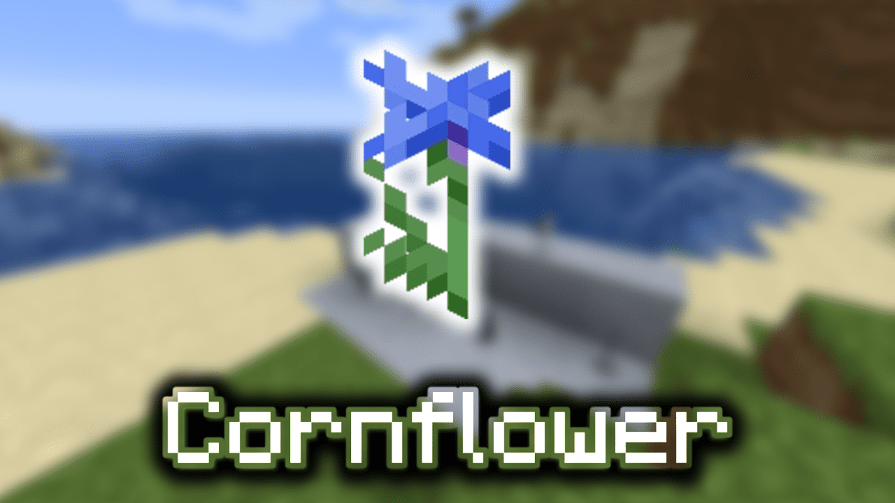 Cornflower Wiki Guide