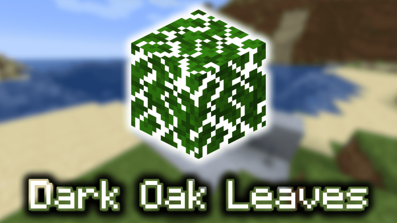 Dark Oak Leaves Wiki Guide