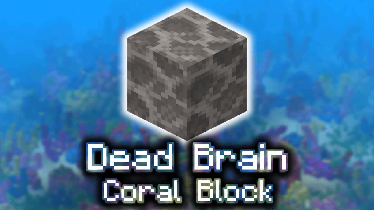 Dead Brain Coral Block - Wiki Guide - 9Minecraft.Net
