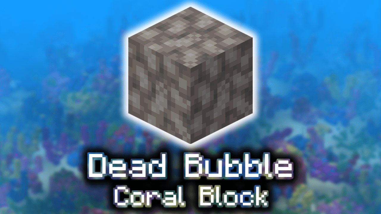 Dead Bubble Coral Block Wiki Guide