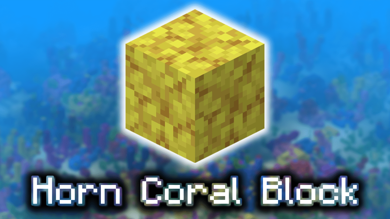 Horn Coral Block Wiki Guide
