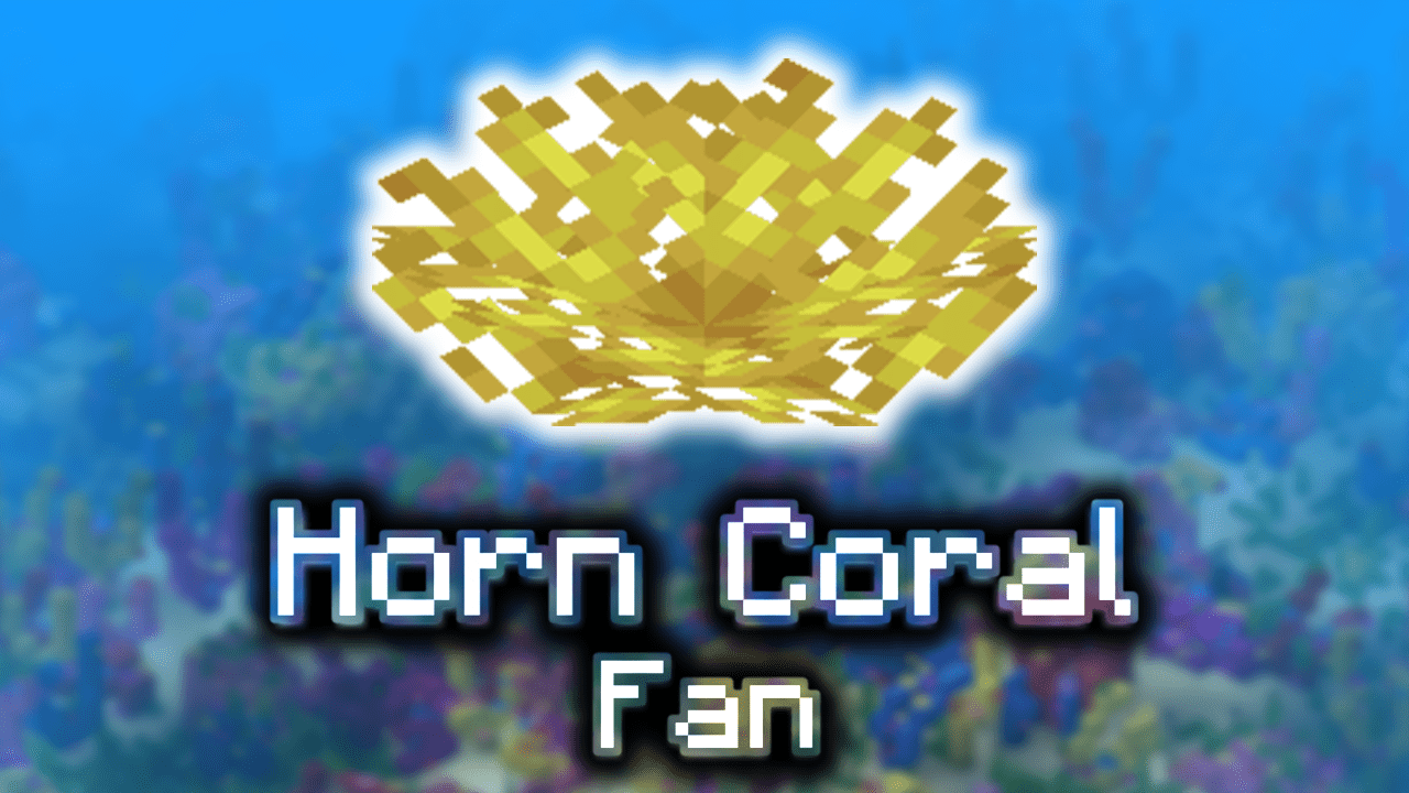 Horn Coral Fan Wiki Guide