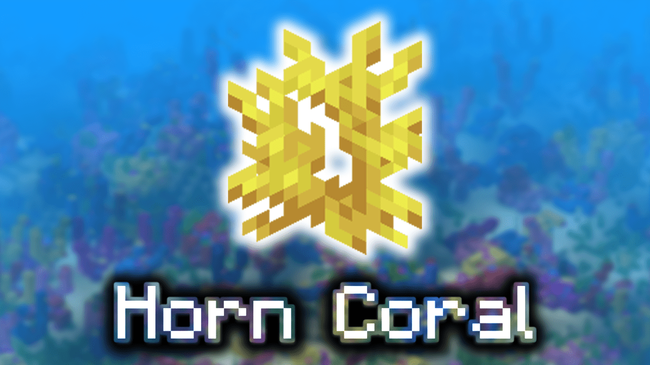 Horn Coral Wiki Guide