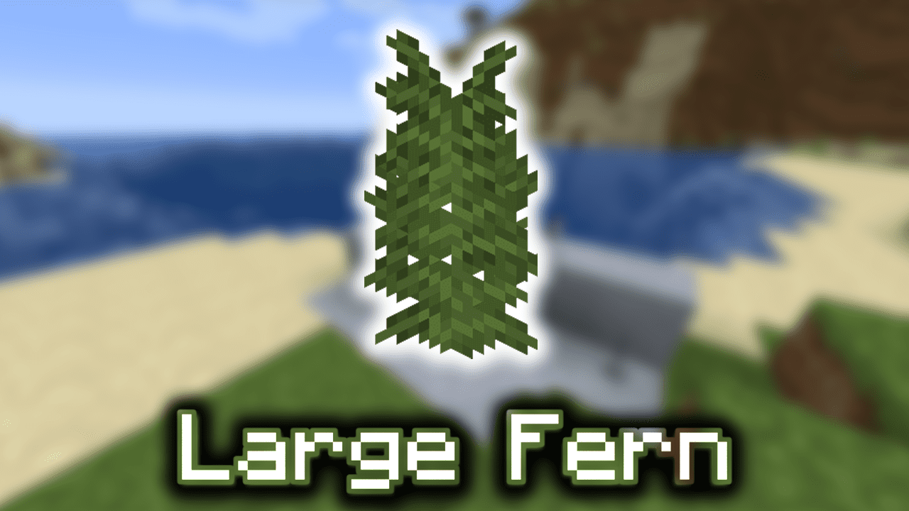 Large Fern Wiki Guide