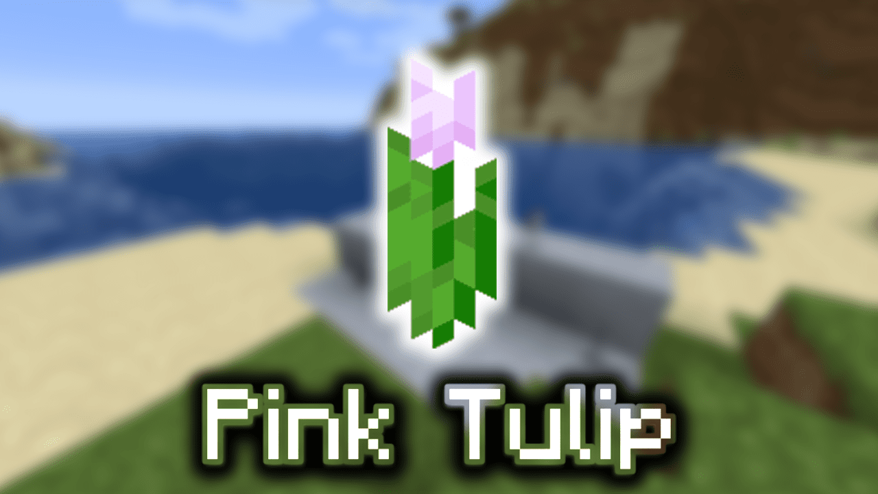 Pink Tulip Wiki Guide