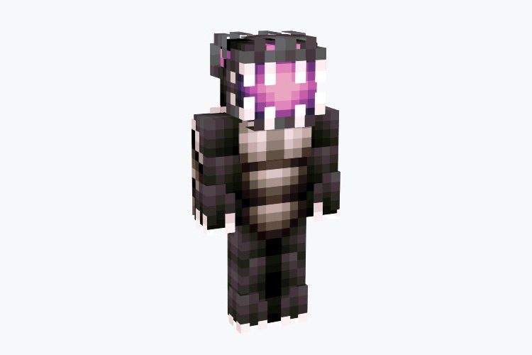 Ender Skins APK Download 2023 - Free - 9Apps