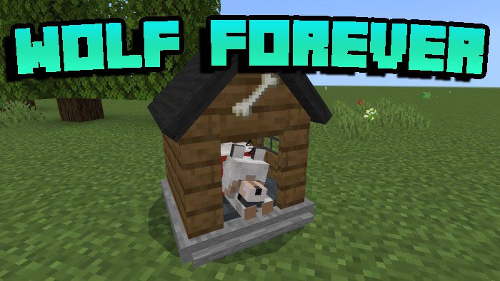 Wolf Forever Addon (1.20, 1.19) - MCPE/Bedrock Mod 