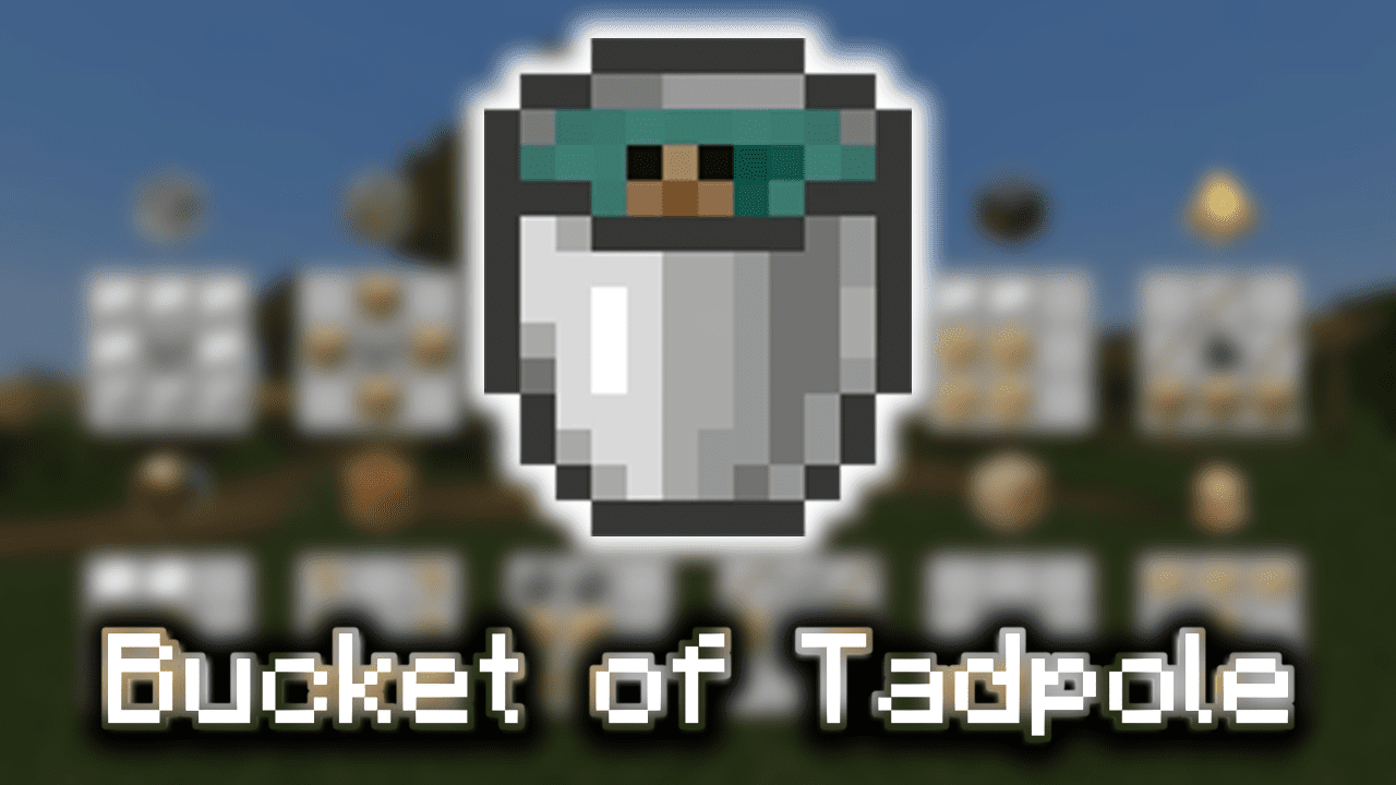 Bucket of Tadpole Wiki Guide