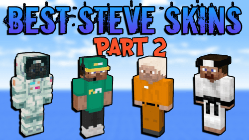 Coolboy Java, Steve Minecraft Skins
