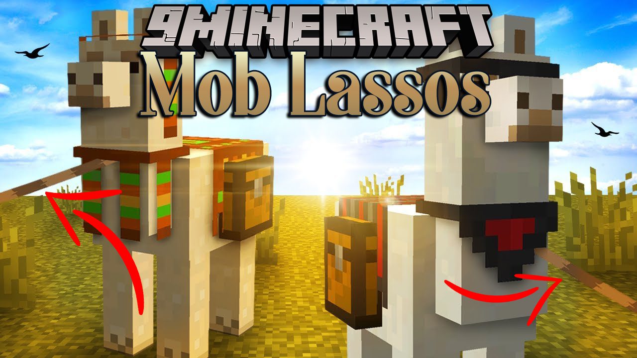 Lasso, BedWars Wiki