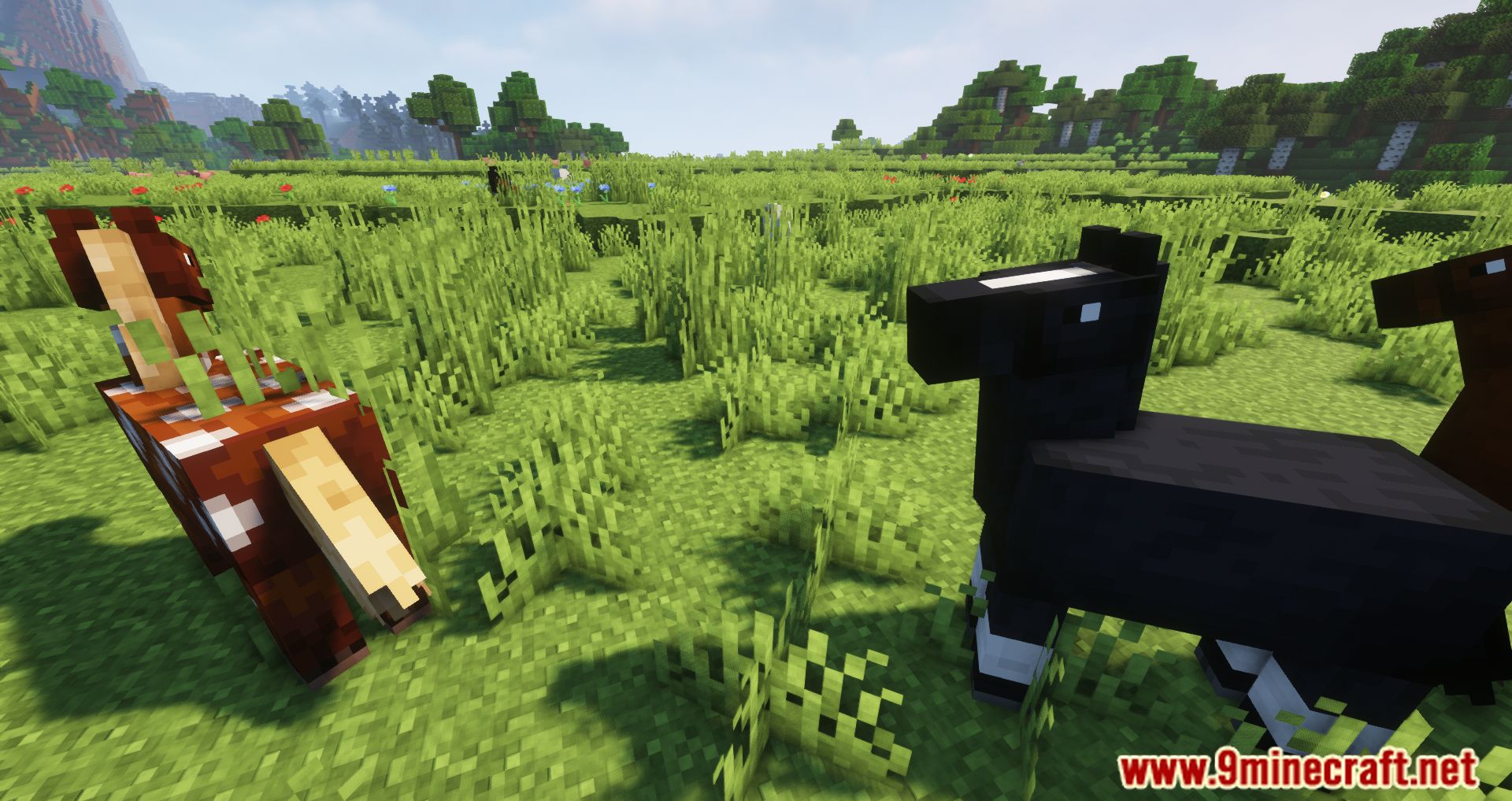 Two Players One Horse Mod (1.16.5) - Join The Ride - 9Minecraft.Net