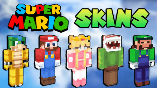 Super Mario Minecraft Skins