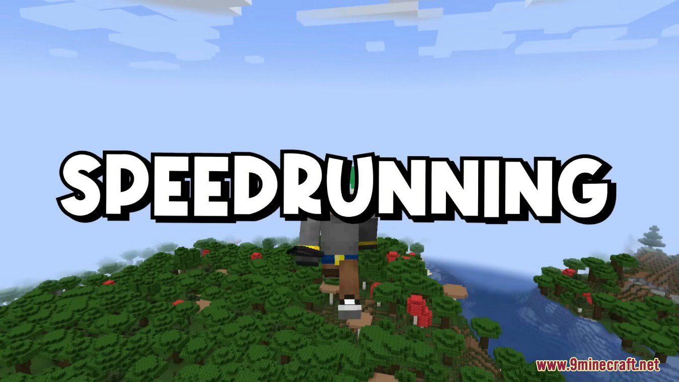 Speedrun Tool Minecraft Data Pack