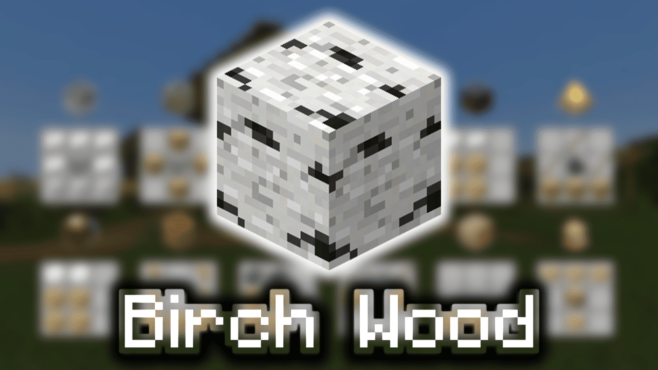 Birch Wood Minecraft