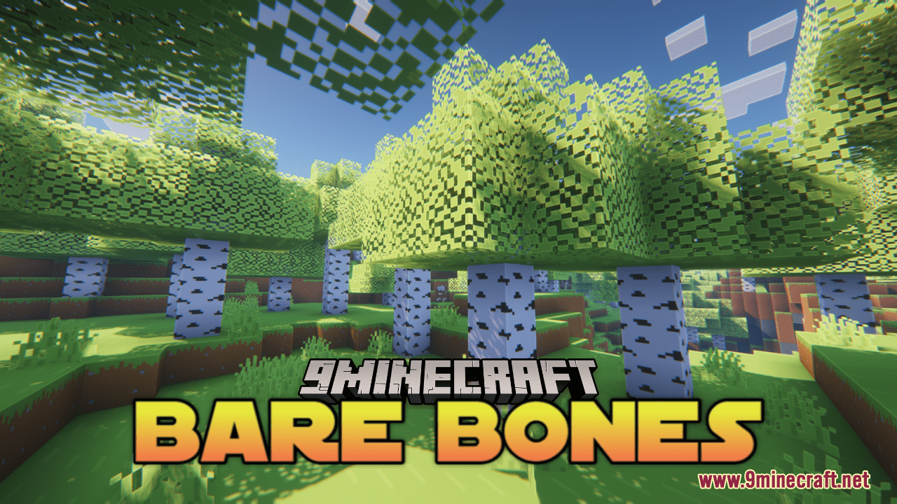 Bare Bones Resource Pack (1.20.4, 1.19.4) - Texture Pack 