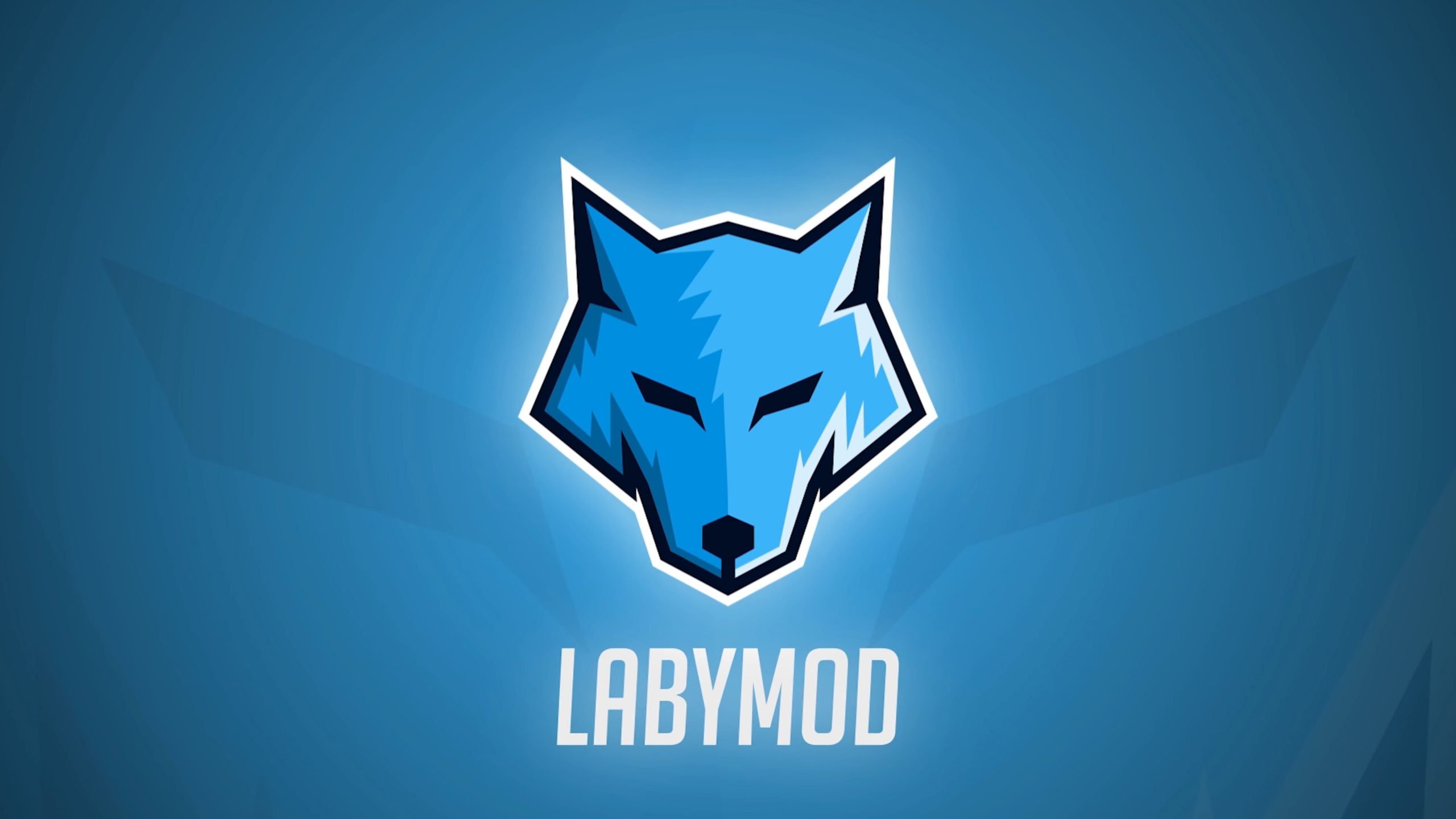 Labymod api