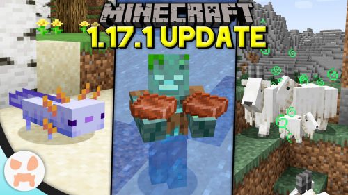 Minecraft 1.17 Java Edition Download