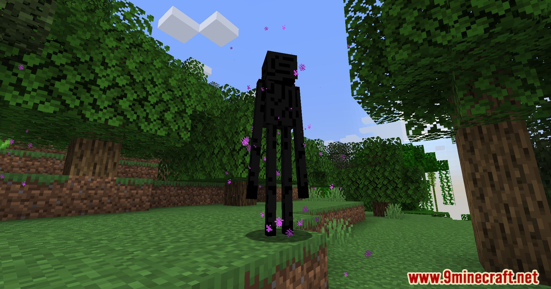 Wandering Enderman