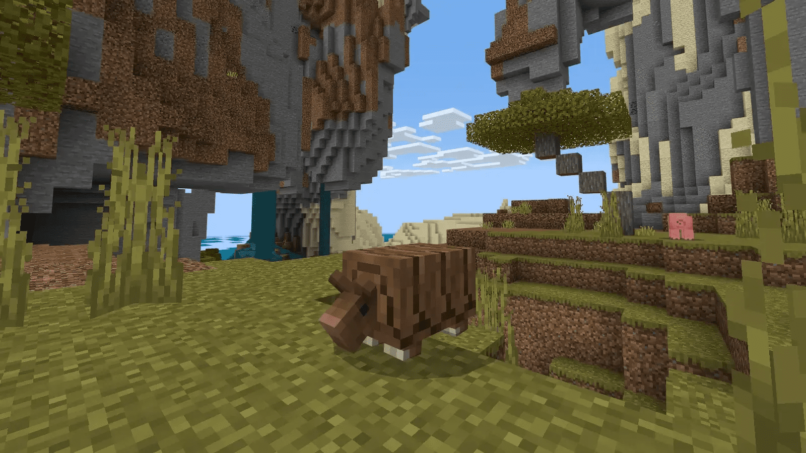 Armadillo Takes the Mob Vote, Minecraft Update 1.24 Coming Mid