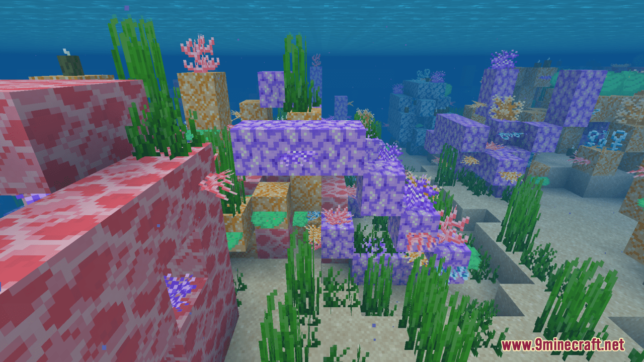 Tropical Coral Resource Pack (1.20.6, 1.20.1) - Texture Pack ...