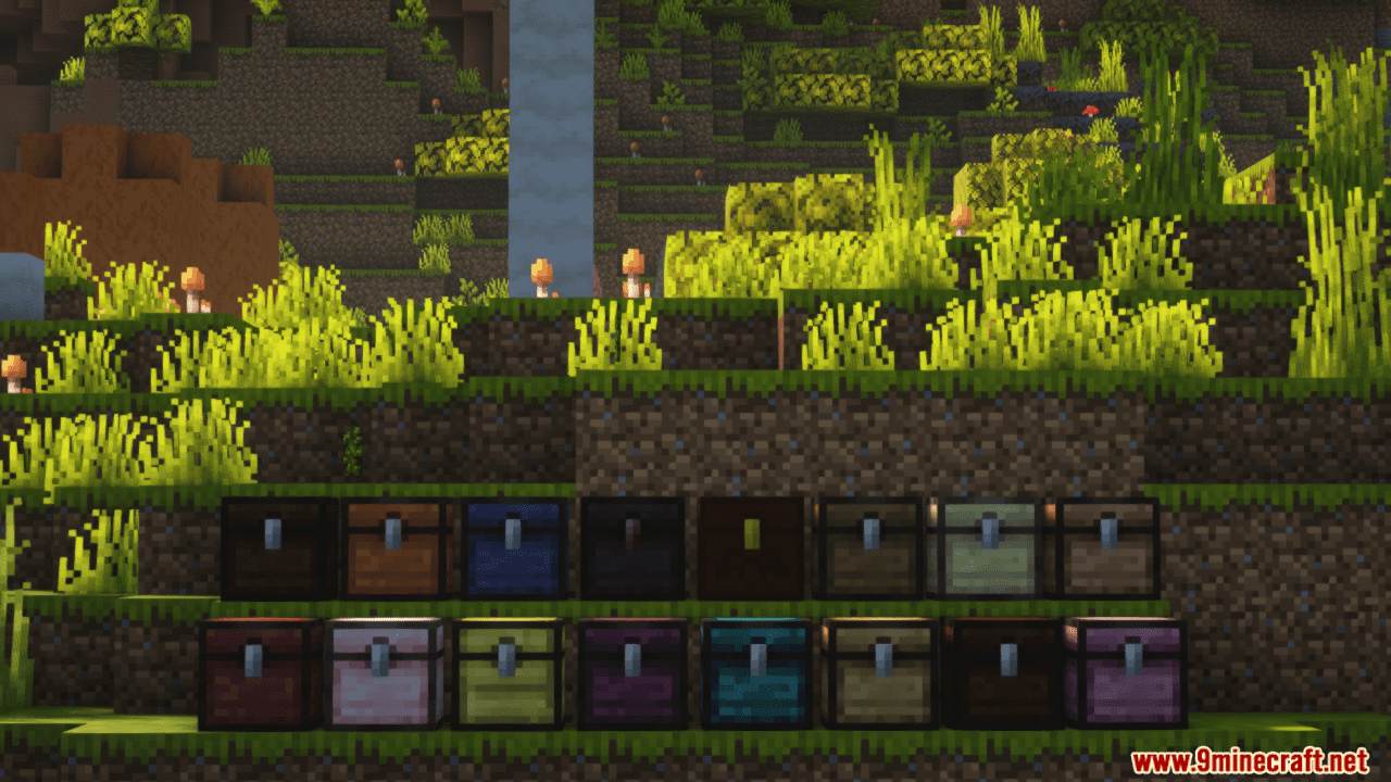 More Chests Variants Mod (1.21.1, 1.20.1) Unique and Decorative Chest