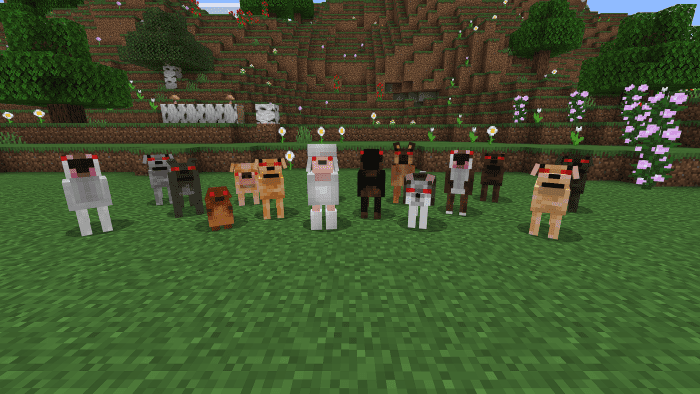 Dogs Expansion Addon (1.20) - MCPE/Bedrock Mod - 9Minecraft.Net