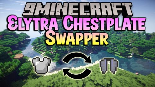 Skin Swapper Mod (1.20.1, 1.19.3) - Quickly Change Skin 