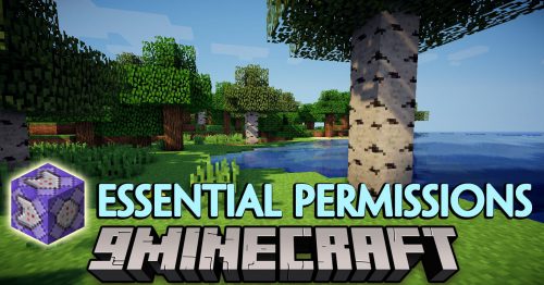 Minecraft 1.17 for Mod Developers
