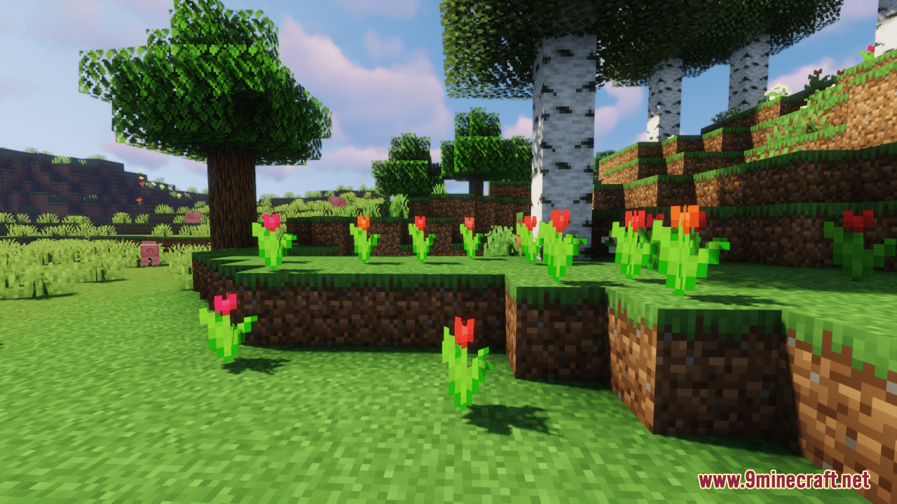 Colorful-Fleurs-Screenshots-3.png