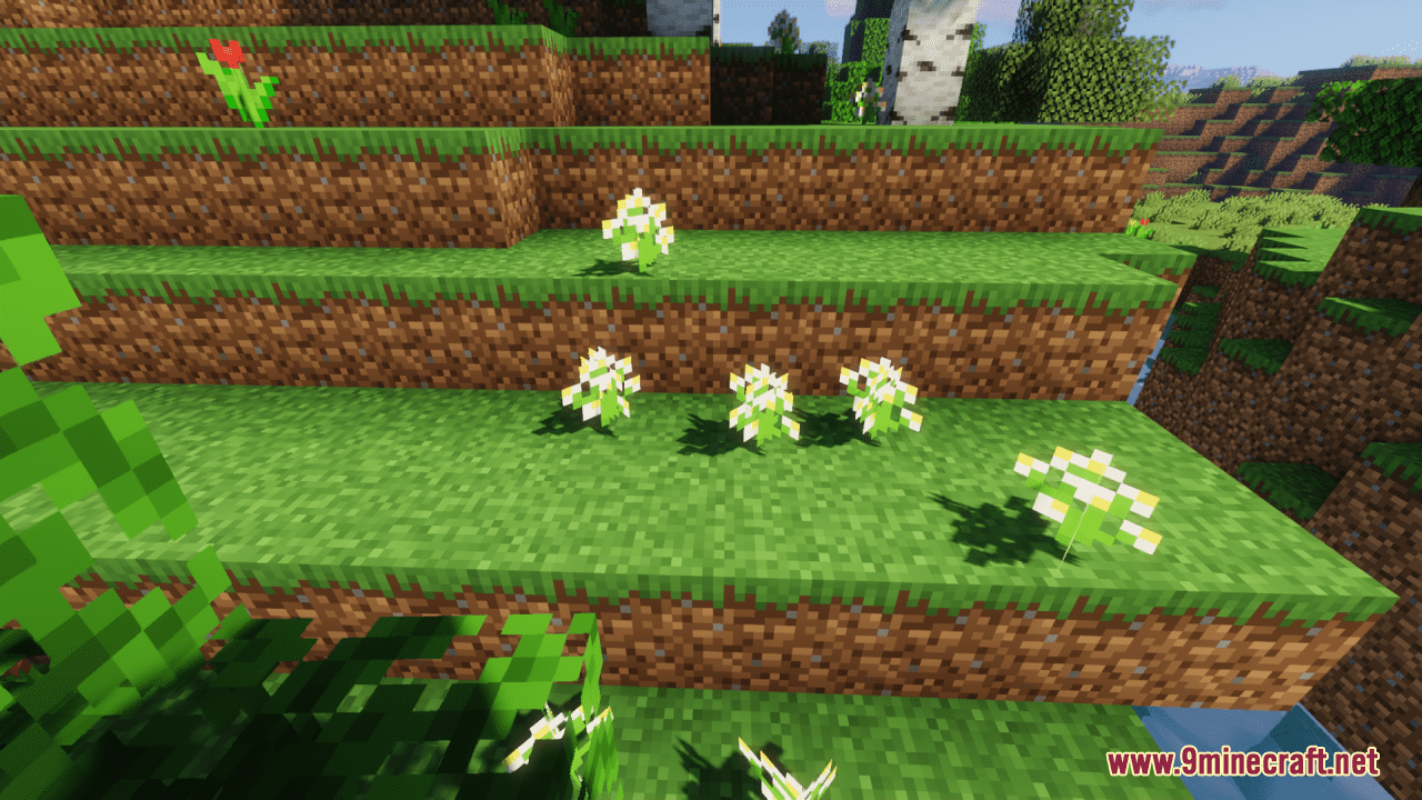 Colorful-Fleurs-Screenshots-5.png