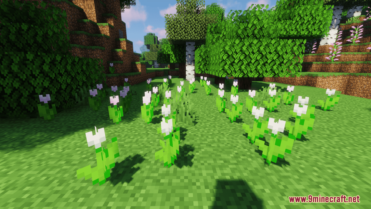 Colorful-Fleurs-Screenshots-6.png