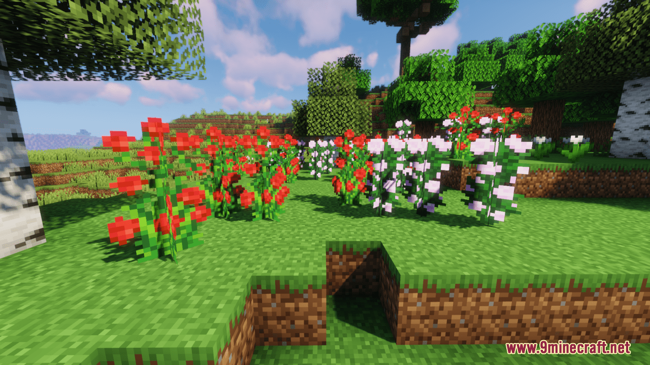 Colorful-Fleurs-Screenshots-7.png