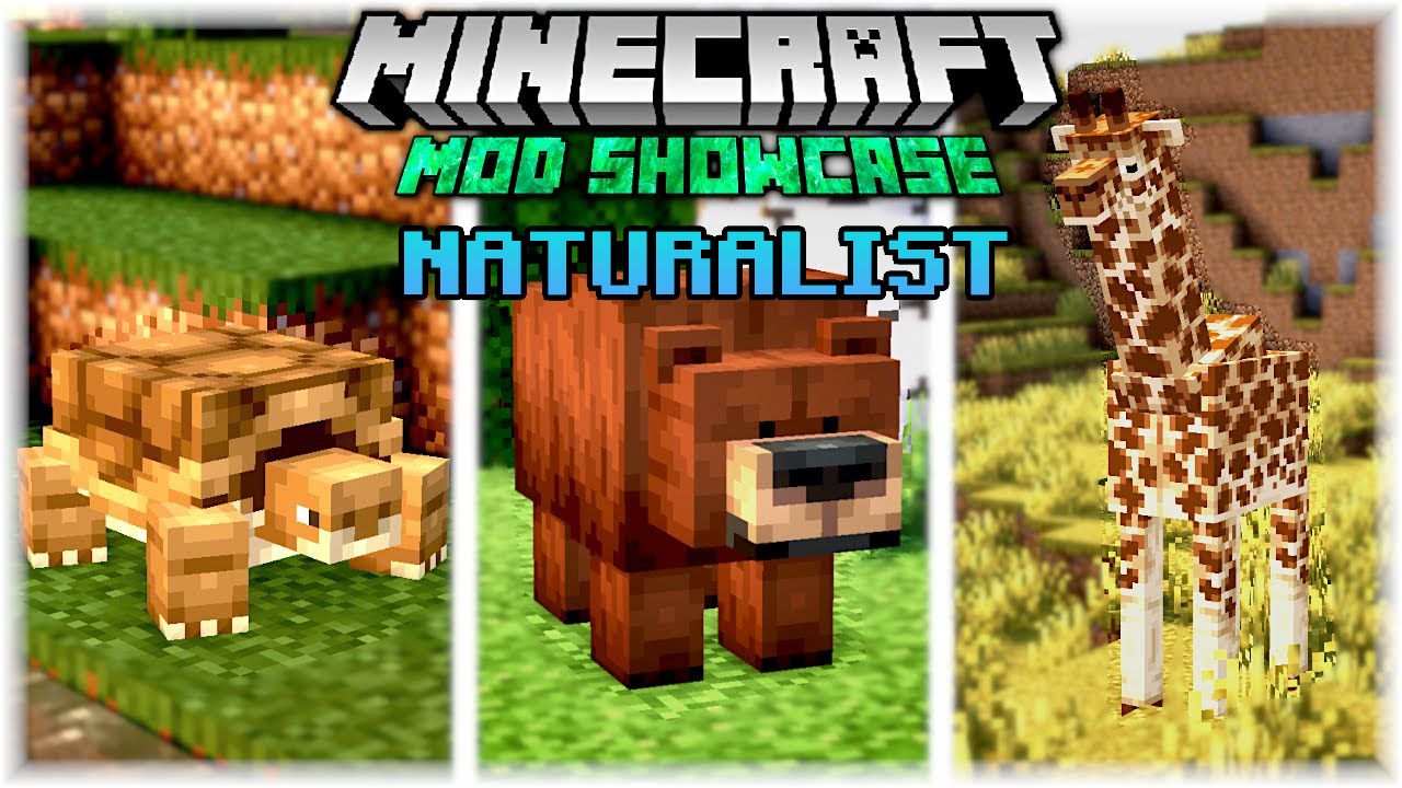 Naturalist 2.0 Image 1
