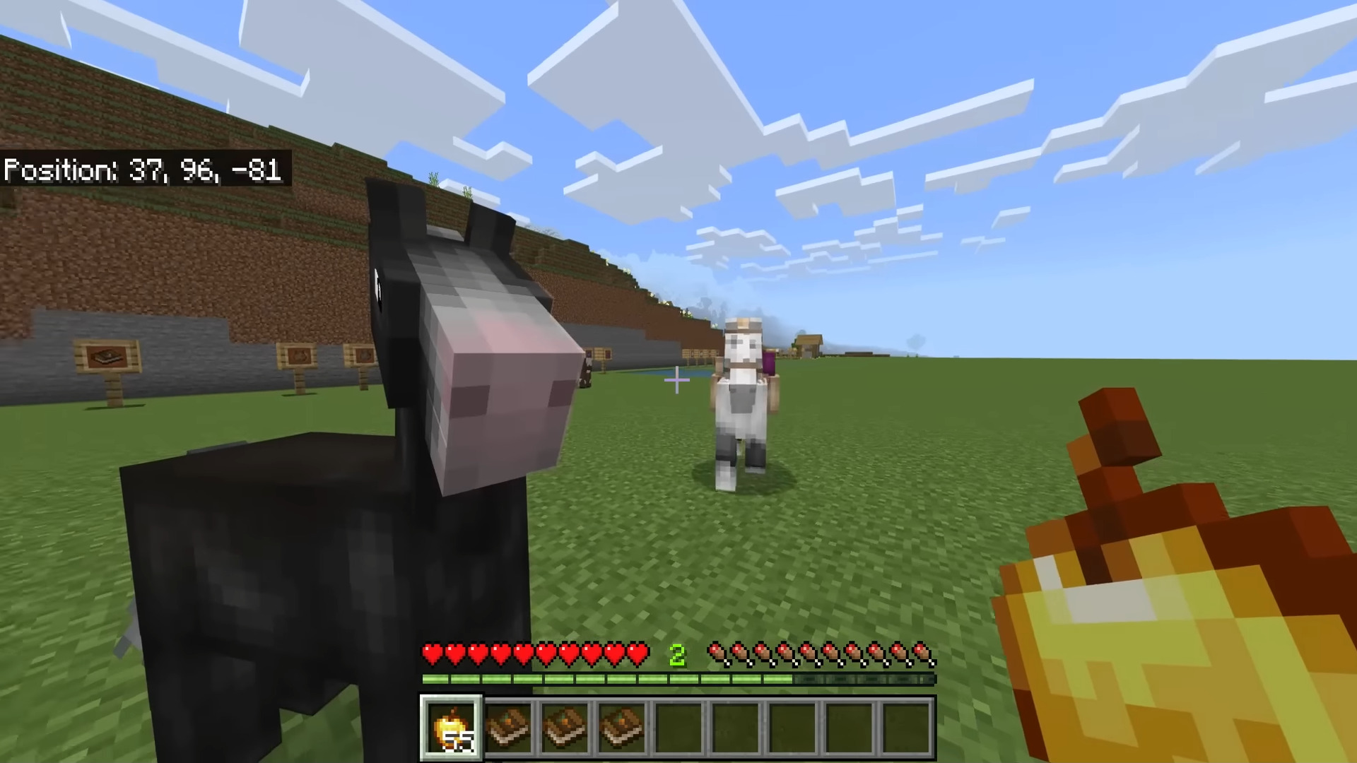 1,000,000 Horses Image 6