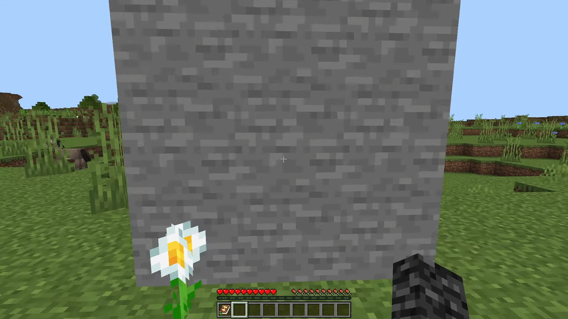 Secret Doors Image 2