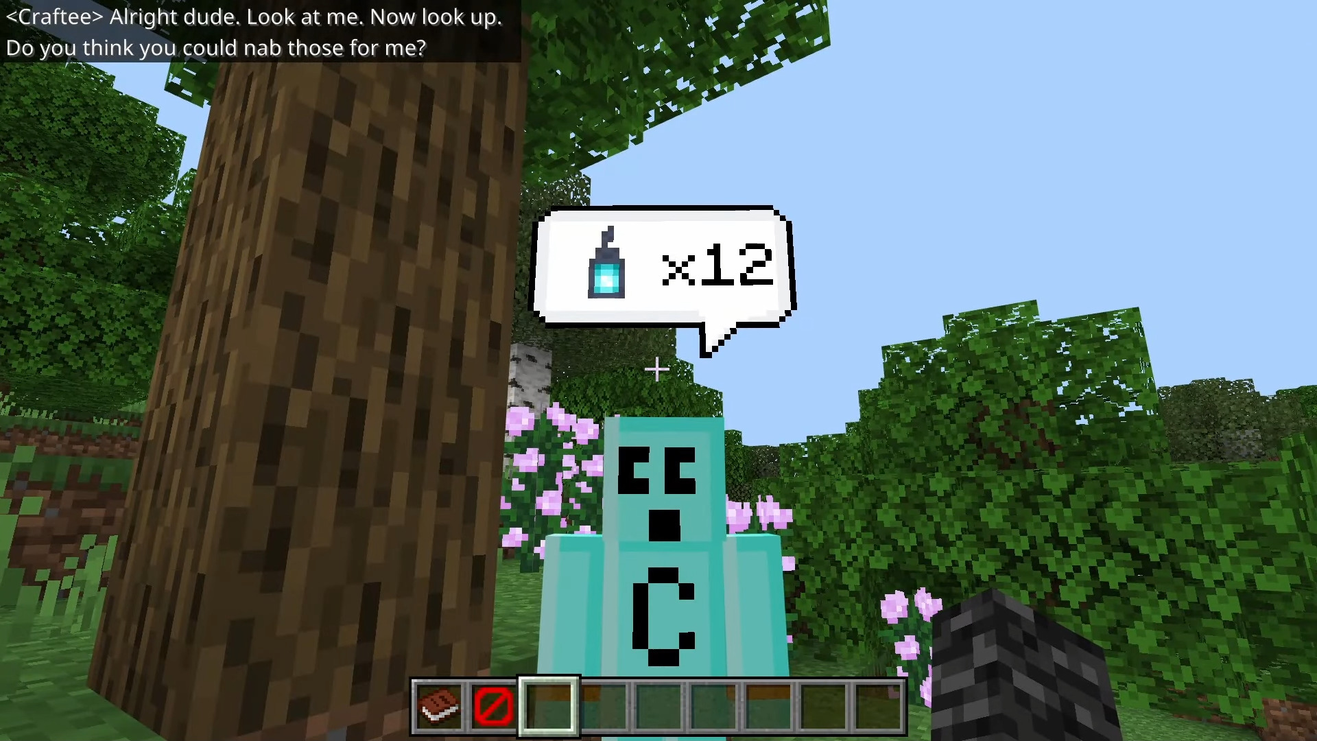 Craftee Companion Image 2