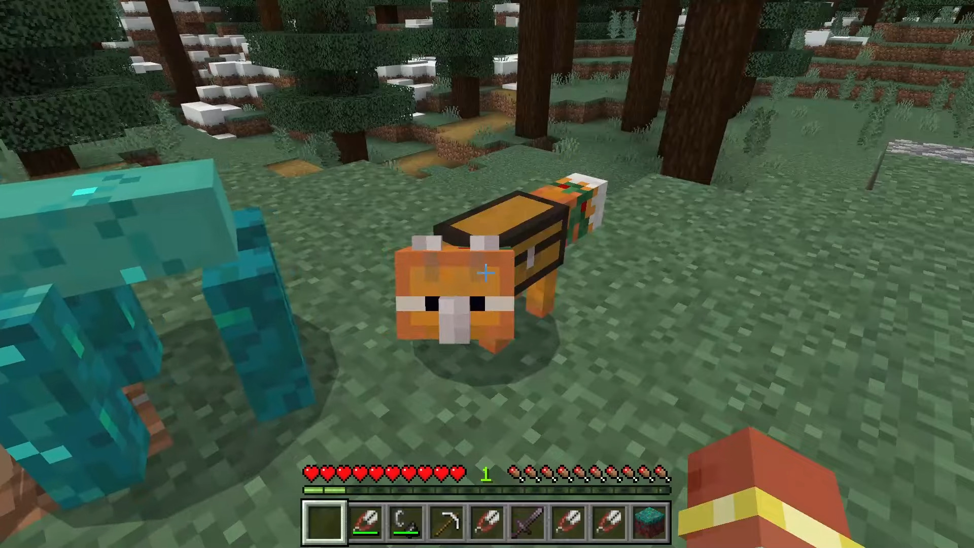 Golem Pets Image 4