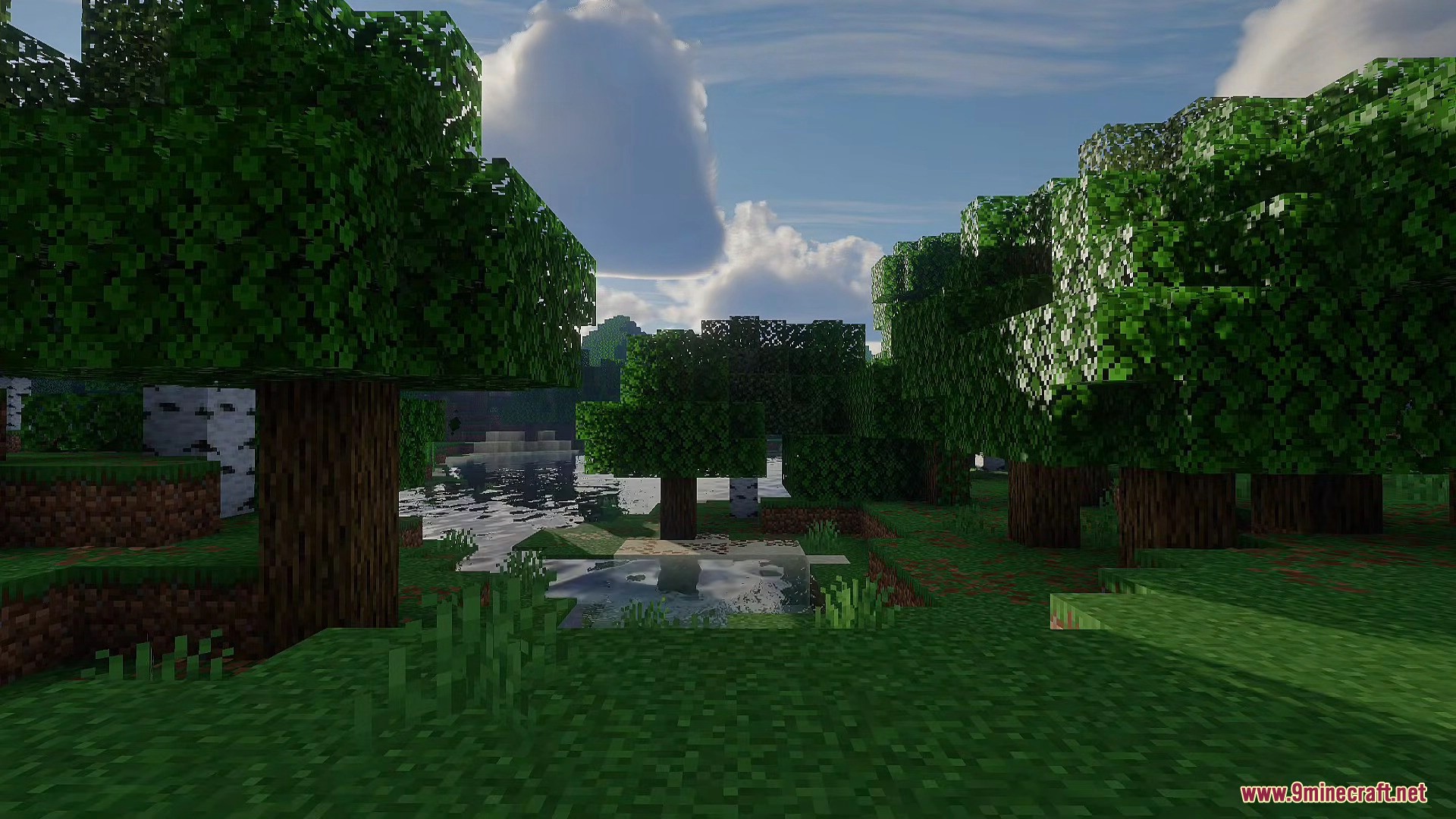 A serene forest scene with realistic lighting and reflections on the water
