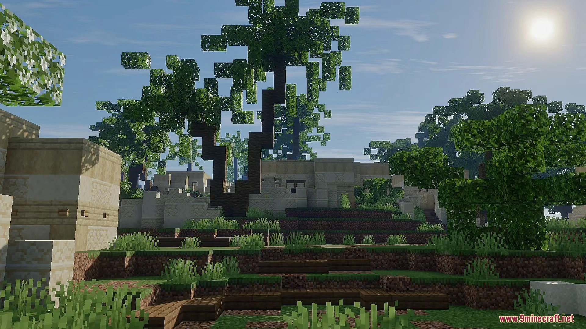 A bright sunny day over a desert village with custom palm trees
