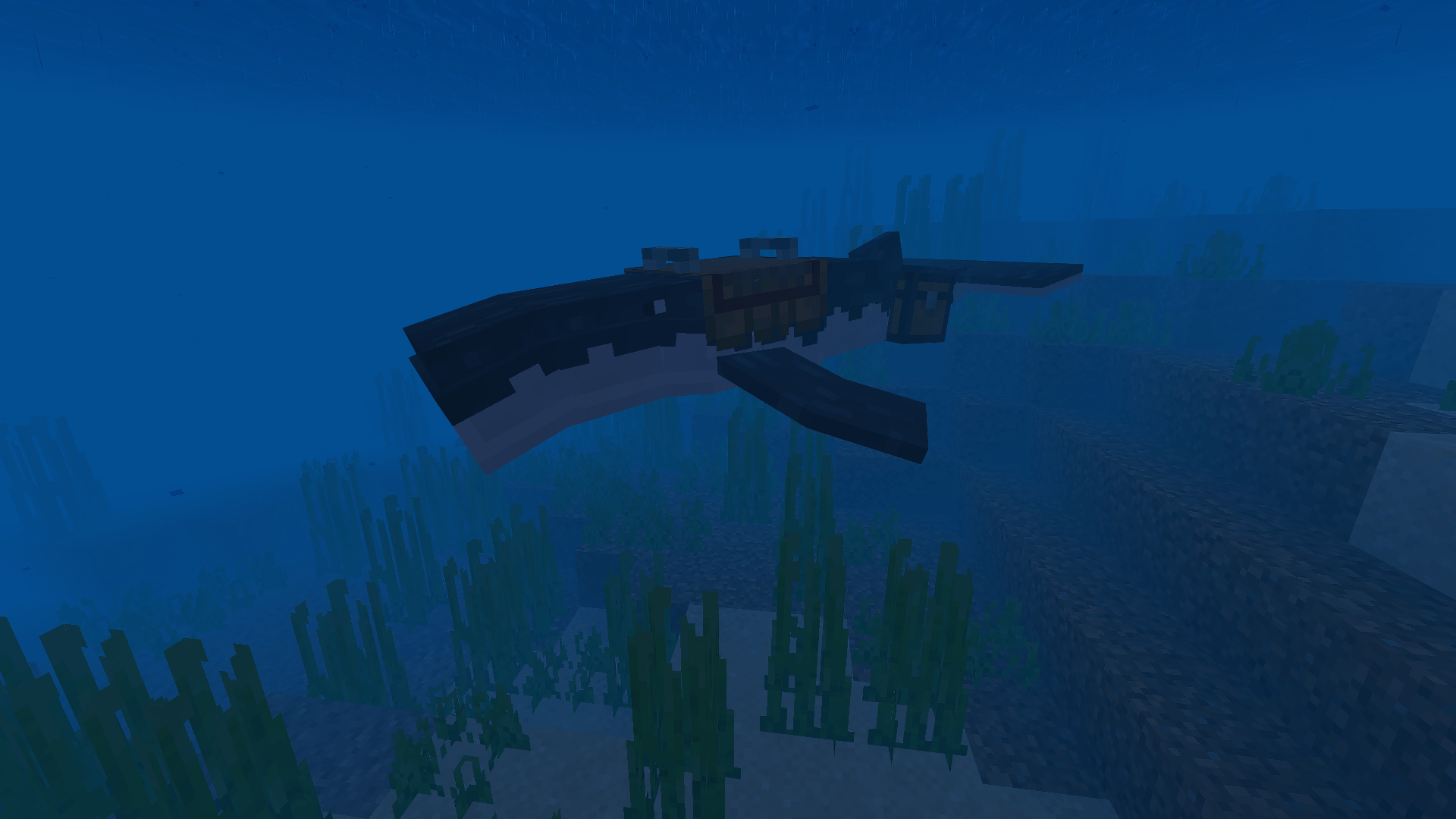 Immersive Fauna Aquatic Update Addon Screenshot 2 A large black and