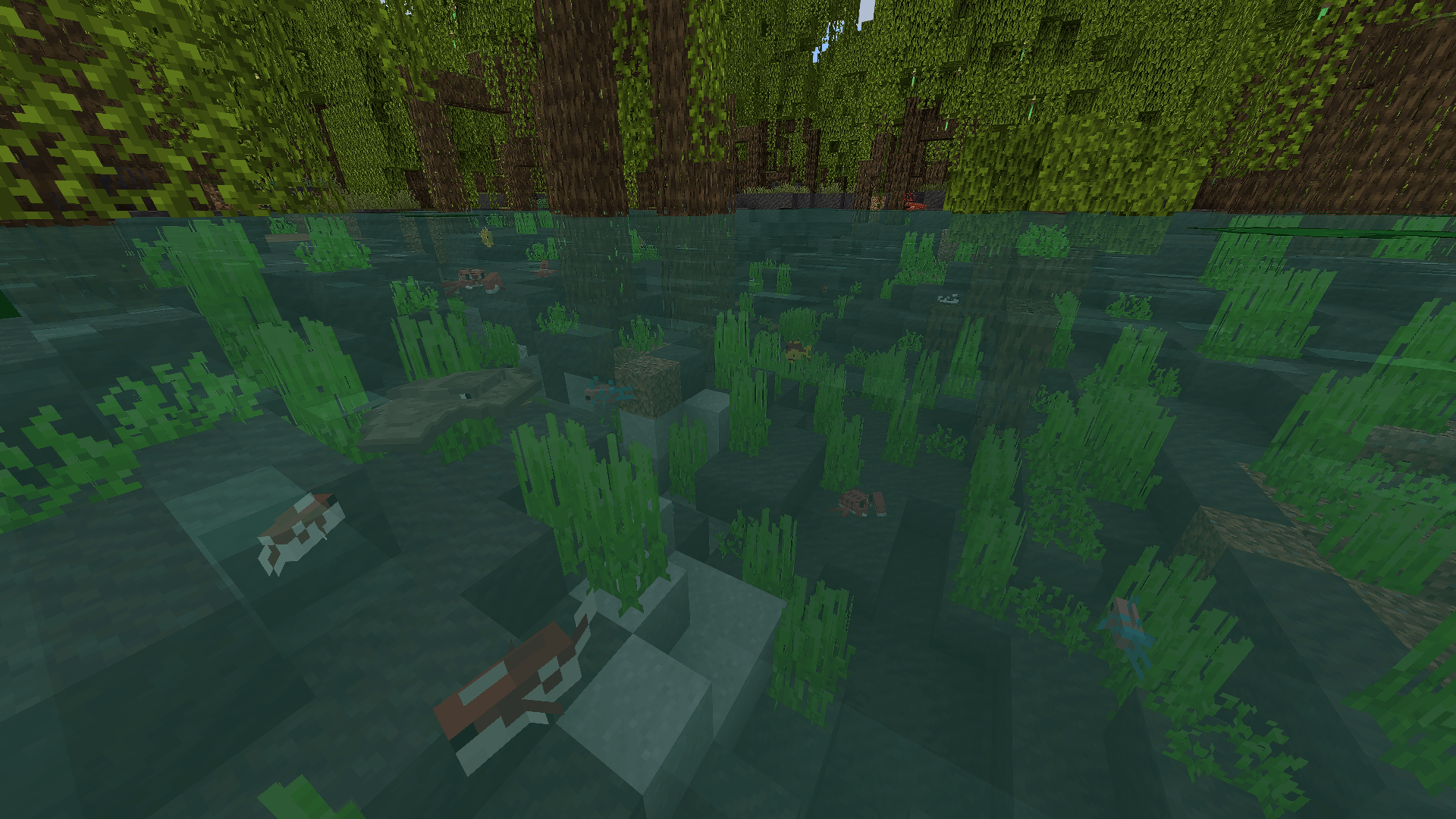 Immersive Fauna Aquatic Update Addon Screenshot 6 A mangrove swamp biome featuring various fish swimming underwater