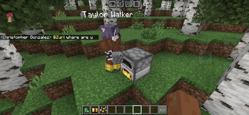 AI Multiplayer Addon Screenshot 3